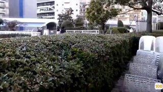大屁股的宝贝在紧身胸衣里被舔和操